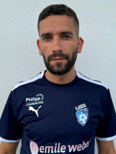 David Teixeira