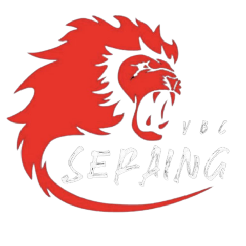 Volley-Ball Club Seraing