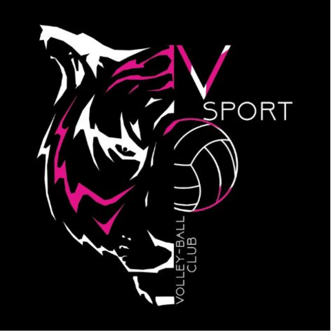 Vsport