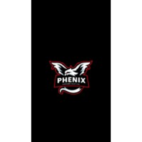 Phenix Koekelberg Volley