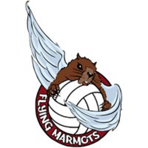 Flying Marmots