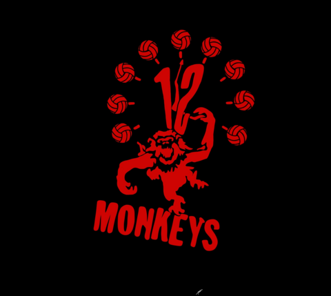 Twelve Monkey's