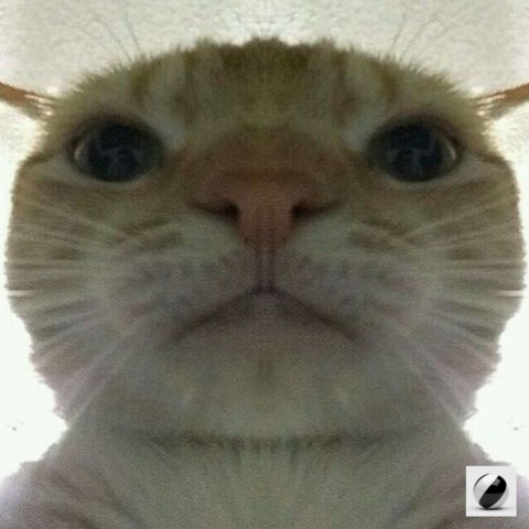 aaa