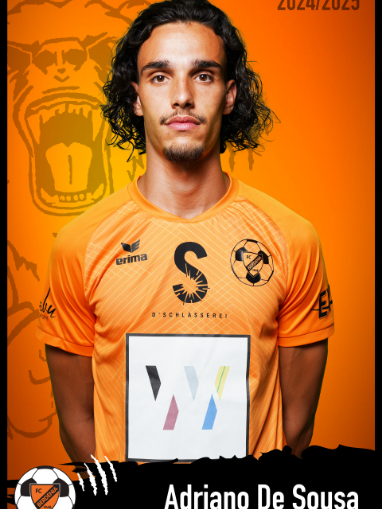 Adriano Junior De Sousa Ferraz