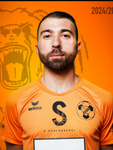 Demir Koljenovic