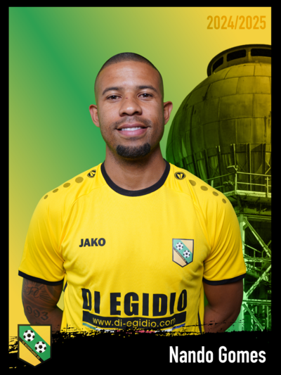 Fernando GOMES
