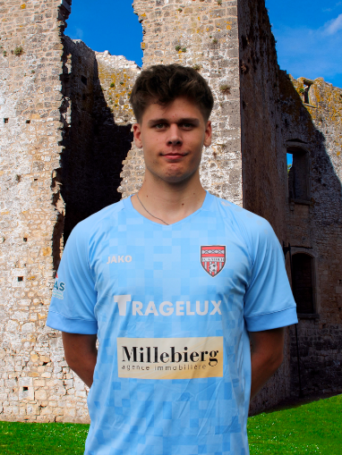 Medrik Roj