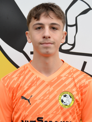 Damir KOLIC