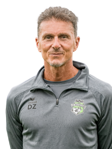David ZITELLI