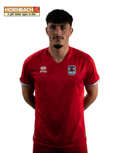 Eldin DZOGOVIC