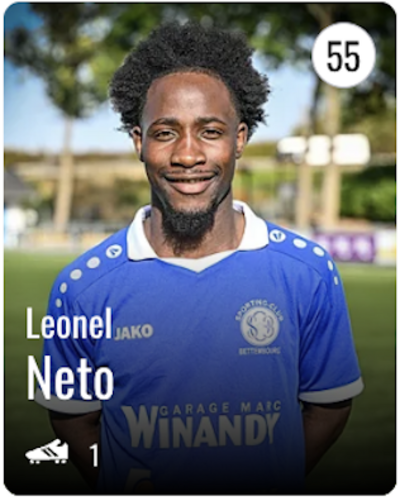 Leonel DE CARVALHO NETO