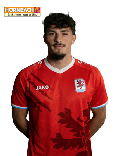 Eldin DZOGOVIC