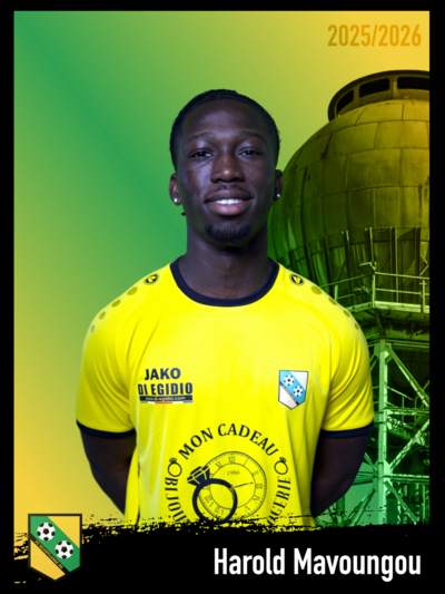 Harold MAVOUNGOU