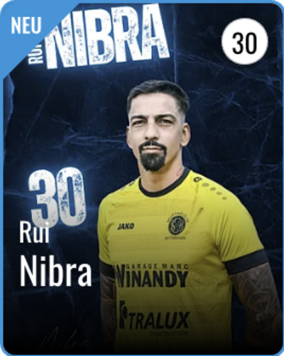 Rui Manuel LAGOELA NIBRA