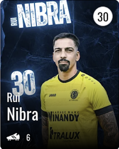 Rui Manuel LAGOELA NIBRA