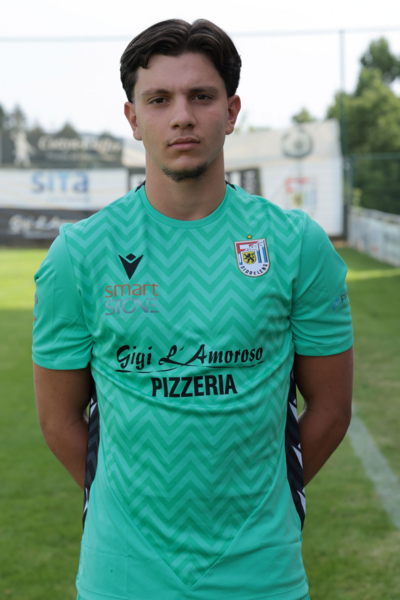 Dzenis Novalic